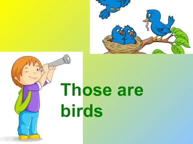 Those are birds