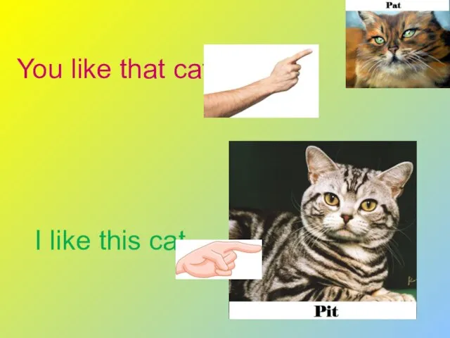I like this cat You like that cat