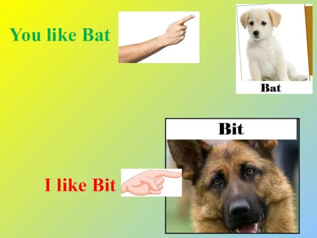 You like Bat I like Bit