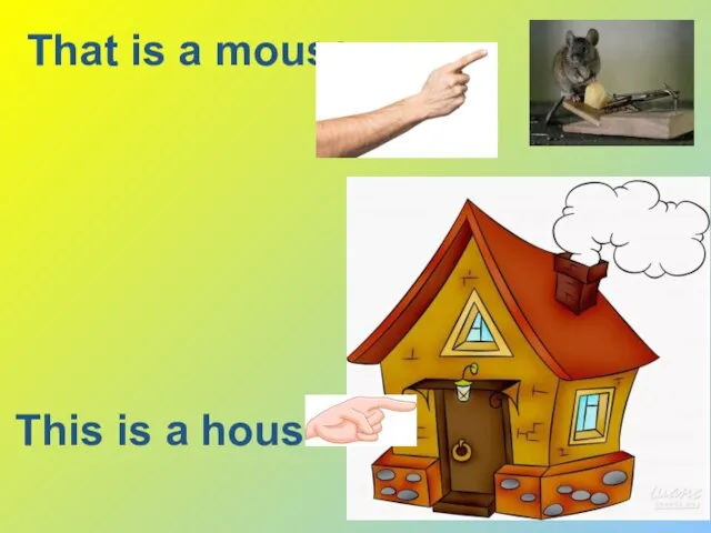 That is a mouse This is a house