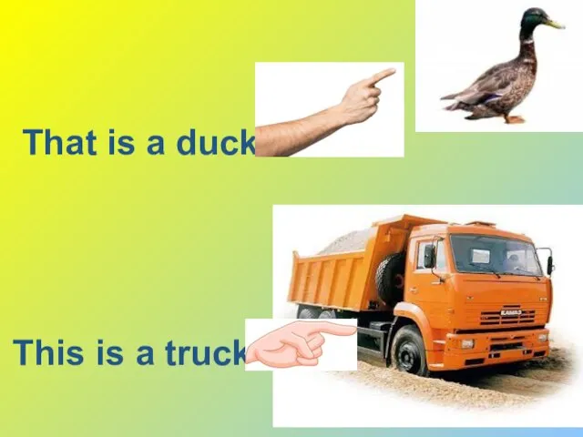 This is a truck That is a duck