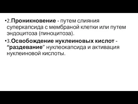 2.Проникновение - путем слияния суперкапсида с мембраной клетки или путем эндоцитоза (пиноцитоза).