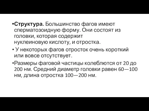 Структура. Большинство фагов имеют сперматозоидную форму. Они состоят из головки, которая содержит