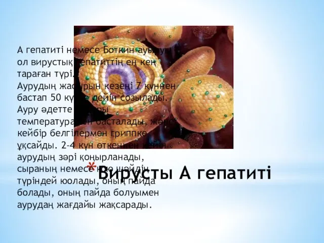 Вирусты А гепатиті А гепатиті немесе Боткин ауыруы – ол вирустық гепатиттің