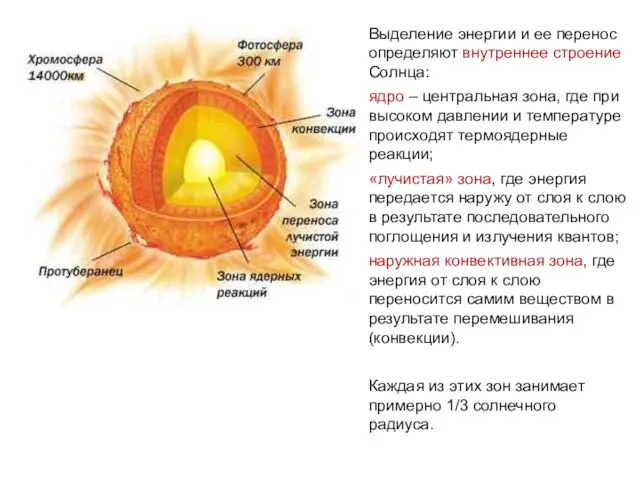 Выделение энергии и ее перенос определяют внутреннее строение Солнца: ядро – центральная