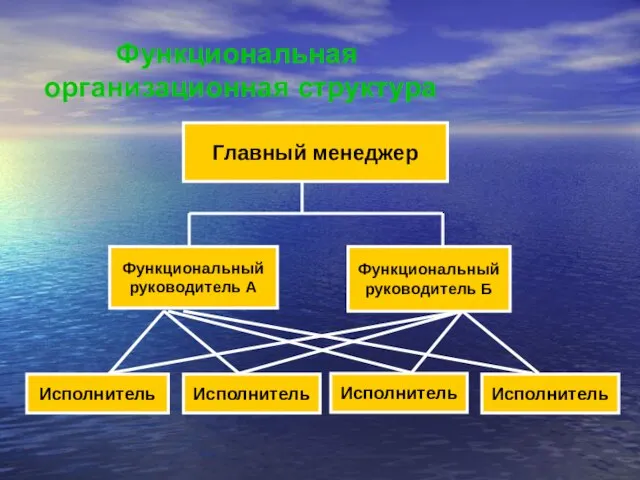 Функциональная организационная структура