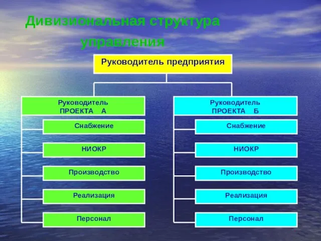 Дивизиональная структура управления