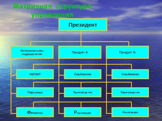 Матричная структура управления