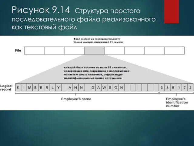 Рисунок 9.14 Структура простого последовательного файла реализованного как текстовый файл