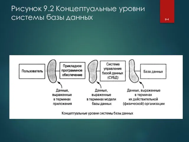 Рисунок 9.2 Концептуальные уровни системы базы данных 9-4