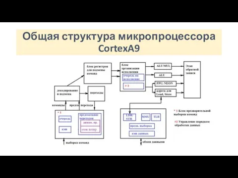 Общая структура микропроцессора CortexA9