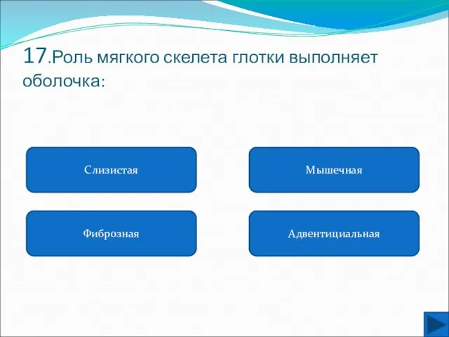 17.Роль мягкого скелета глотки выполняет оболочка: Слизистая Фиброзная Адвентициальная Мышечная