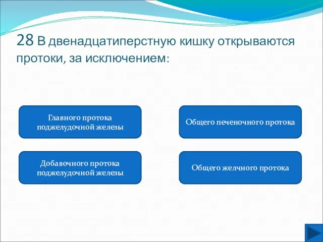 28 В двенадцатиперстную кишку открываются протоки, за исключением: Главного протока поджелудочной железы