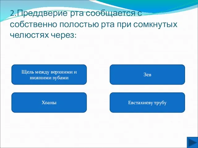 2.Преддверие рта сообщается с собственно полостью рта при сомкнутых челюстях через: Щель