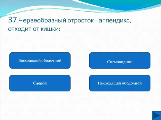 37.Червеобразный отросток - аппендикс, отходит от кишки: Восходящей ободочной Слепой Нисходящей ободочной Сигмовидной