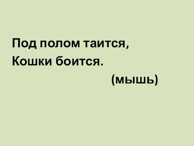 Под полом таится, Кошки боится. (мышь)