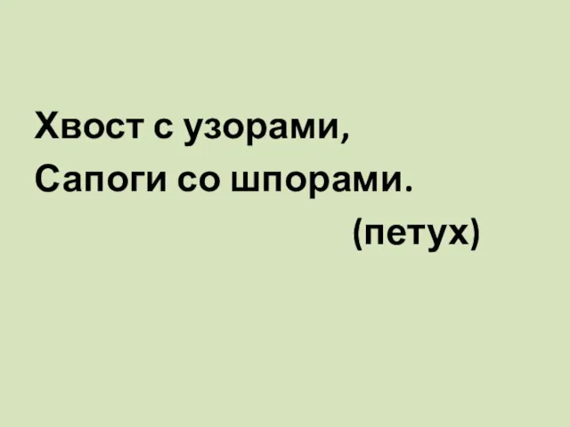 Хвост с узорами, Сапоги со шпорами. (петух)