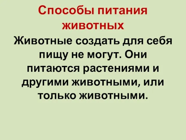 Способы питания животных Животные создать для себя пищу не могут. Они питаются