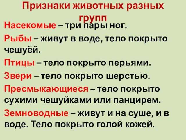 Признаки животных разных групп Насекомые – три пары ног. Рыбы – живут