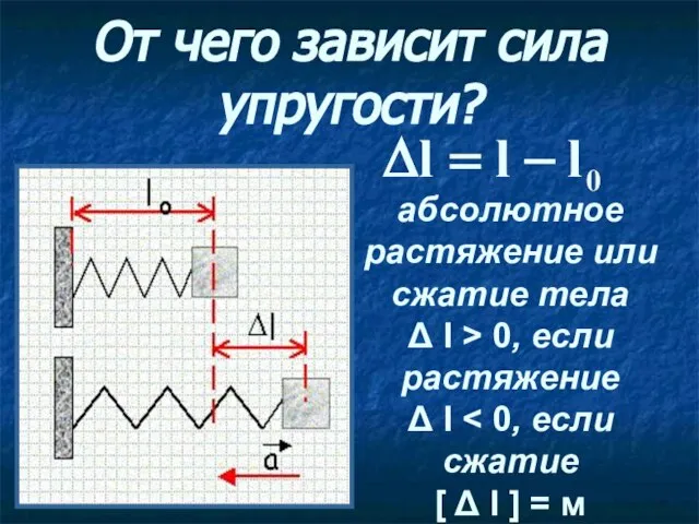 От чего зависит сила упругости? абсолютное растяжение или сжатие тела Δ l