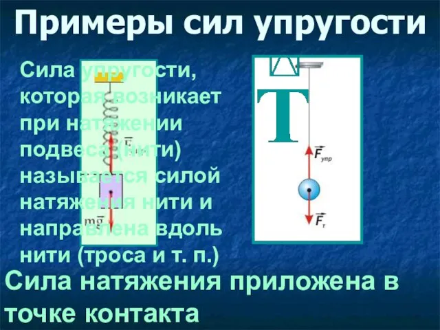 Примеры сил упругости Сила натяжения приложена в точке контакта Сила упругости, которая