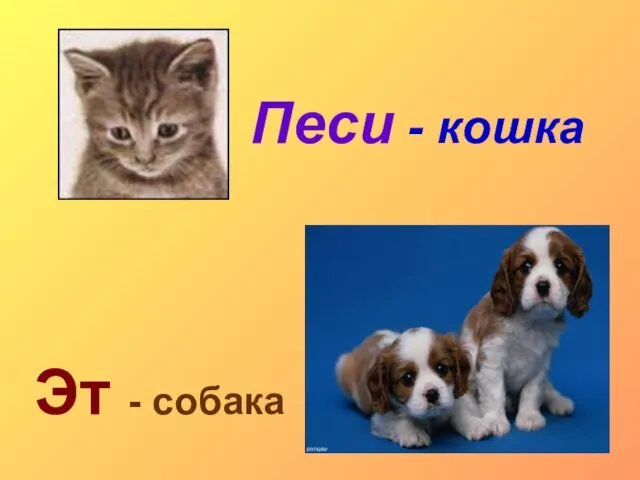 Песи - кошка Эт - собака