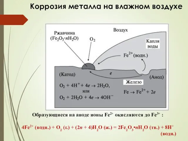 Коррозия металла на влажном воздухе Образующиеся на аноде ионы Fe2+ окисляются до