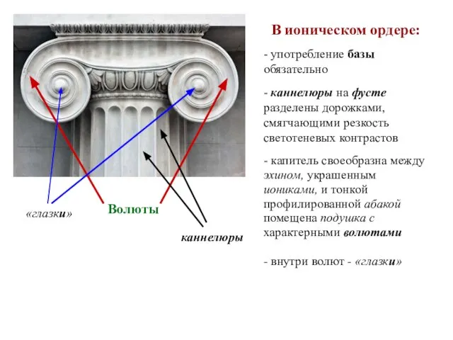 В ионическом ордере: - употребление базы обязательно - каннелюры на фусте разделены