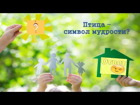 Птица – символ мудрости?