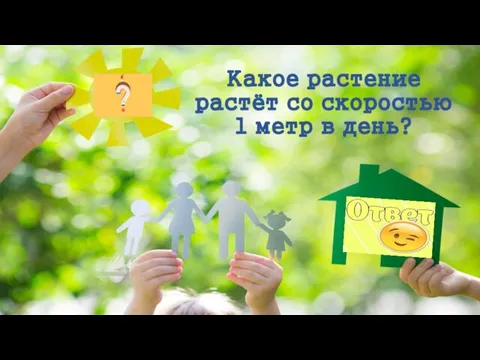 Какое растение растёт со скоростью 1 метр в день?