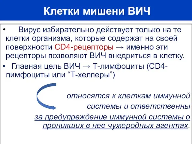 Клетки мишени ВИЧ Вирус избирательно действует только на те клетки организма, которые