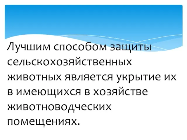 Лучшим способом защиты сельскохозяйственных животных является укрытие их в имеющихся в хозяйстве животноводческих помещениях.