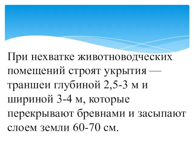 При нехватке животноводческих помещений строят укрытия — траншеи глубиной 2,5-3 м и