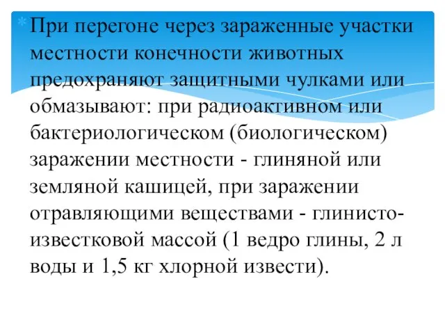 При перегоне через зараженные участки местности конечности животных предохраняют защитными чулками или