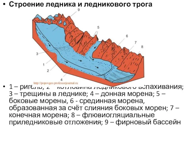 Строение ледника и ледникового трога 1 – ригель; 2 – котловина ледникового