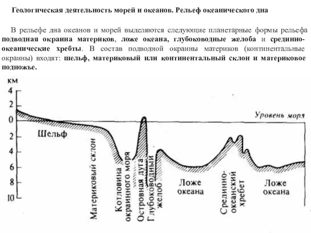 Геологическая деятельность морей и океанов. Рельеф океанического дна В рельефе дна океанов