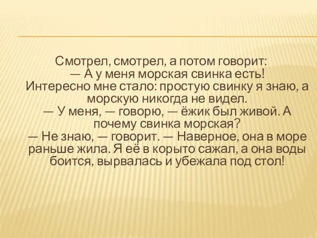 Смотрел, смотрел, а потом говорит: — А у меня морская свинка есть!