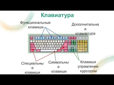 Функциональные клавиши Символьные клавиши Клавиши управления курсором Дополнительная клавиатура Специальные клавиши Клавиатура