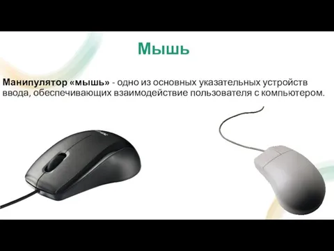 Мышь Манипулятор «мышь» - одно из основных указательных устройств ввода, обеспечивающих взаимодействие пользователя с компьютером.