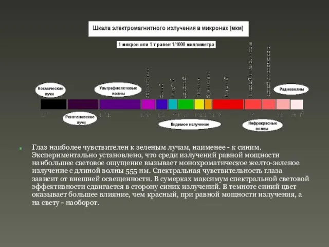 Глаз наиболее чувствителен к зеленым лучам, наименее - к синим. Экспериментально установлено,