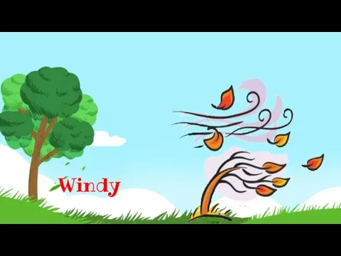 Windy