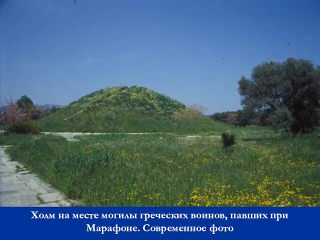 Холм на месте могилы греческих воинов, павших при Марафоне. Современное фото