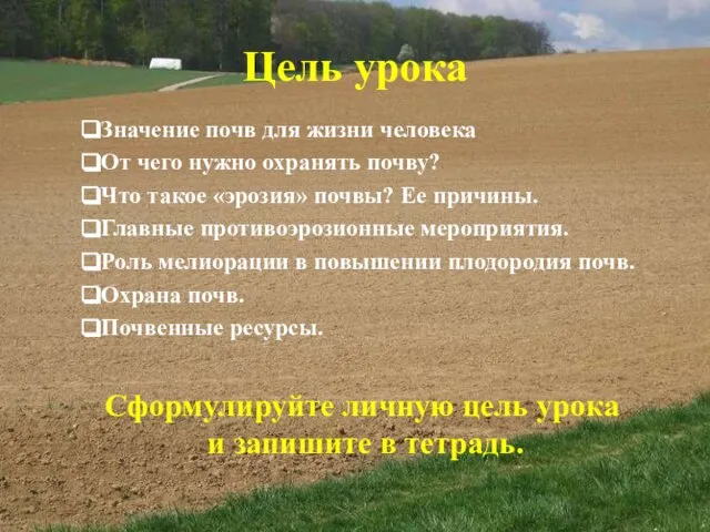 Значение почв для жизни человека От чего нужно охранять почву? Что такое