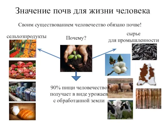 Значение почв для жизни человека Своим существованием человечество обязано почве! Почему? сельхозпродукты