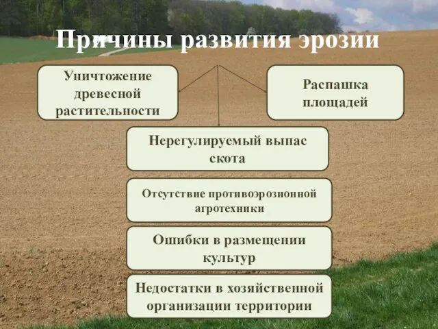 Причины развития эрозии Уничтожение древесной растительности Распашка площадей Нерегулируемый выпас скота Отсутствие