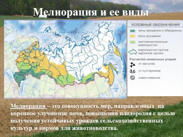 Мелиорация и ее виды Мелиорация – это совокупность мер, направленных на коренное