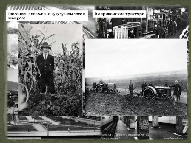 Голландец Коос Фис на кукурузном поле в Кемерове Американские трактора