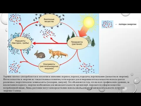 Термин «поток» употребляется в экологии в значении: перенос, переход, передача, перемещение (вещества