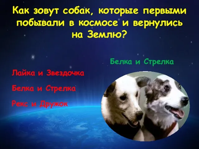 Как зовут собак, которые первыми побывали в космосе и вернулись на Землю?