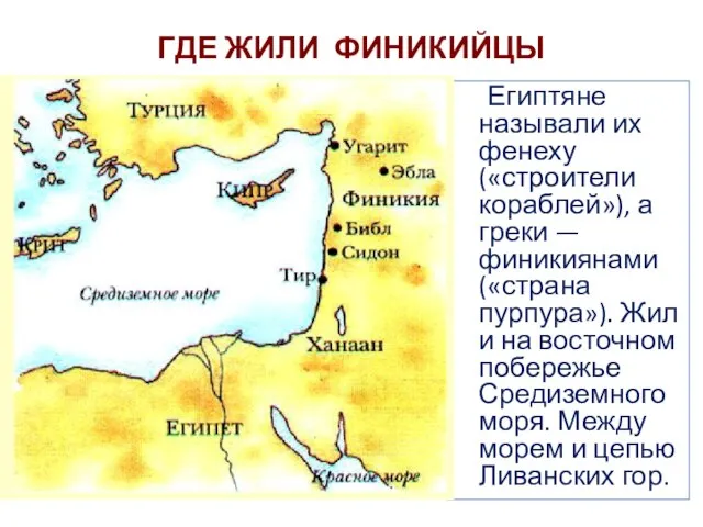 ГДЕ ЖИЛИ ФИНИКИЙЦЫ Египтяне называли их фенеху («строители кораблей»), а греки —